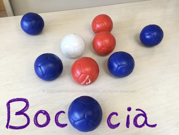 DCR7年夏期_ボッチャ